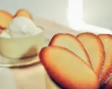 Biscotti croccanti a forma di lingue di gatto, alcuni in primo piano, altri decorano una coppa di panna montata.