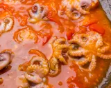 Piccolo polpo alla luciana in un sugo rosso ricco, con tentacoli visibili e pomodorini.