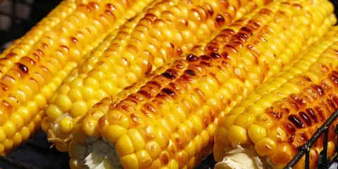 Pannocchie dorate e leggermente abbrustolite, pronte per essere gustate, cucinate alla perfezione nella friggitrice ad aria.