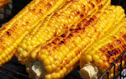 Pannocchie dorate e leggermente abbrustolite, pronte per essere gustate, cucinate alla perfezione nella friggitrice ad aria.